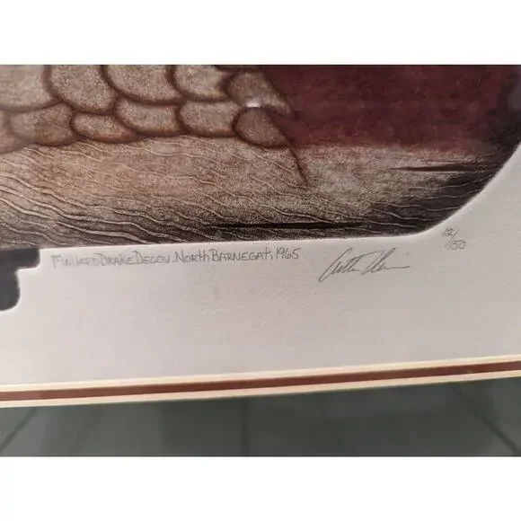 Arthur Nevin Art - Mallard Duck DRAKE DECOY. North BARNEGAT - Etched/Signed